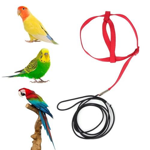 Parrot Harness Leash, Anti Bite Bird Training Leash Adjustable Parrot Flying Rope for Parrot Budgerigar Lovebird Cockatiel