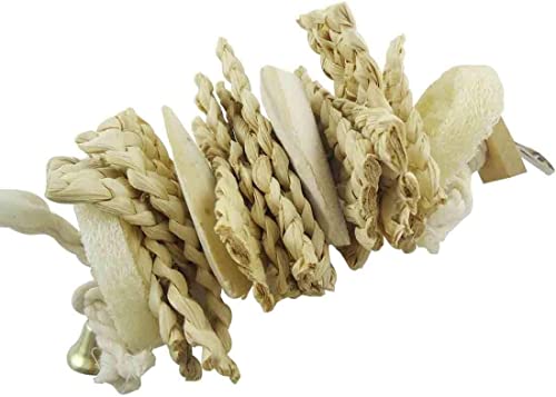 Litewoo Natural Bird Toys Parrot Chew Loofah with Bell Swing for Parakeet | Natural loofah grass, safe for beak grinding, easy cage install, for small-medium bird/cockatiel/budgie/lovebird/cage