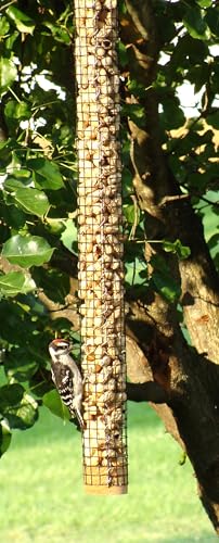 Backyard Birds Unlimited Cedar Whole in-Shell Peanut Outdoor Hanging Wild Bird Feeder Made in the USA-Large 42" Inch - size: Large