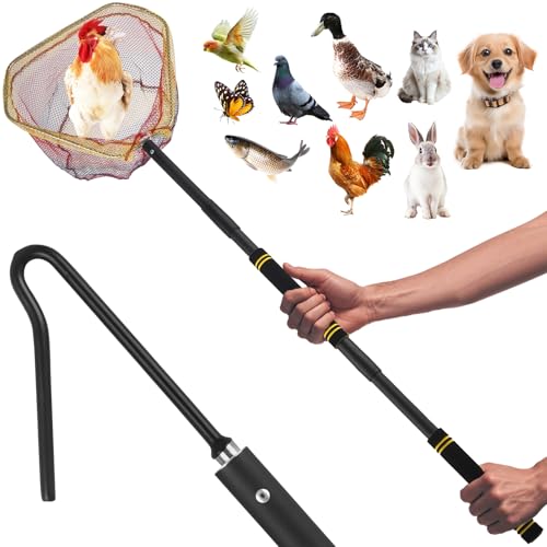 Chicken Catcher Net,30 to 75in Chicken Catcher Leg Hook Extra Long Handle Animal Catcher Pole Heavy Duty with Frosted Tube Extension Pole Poultry Hook Fowl Catcher (Black, 75in) - color: Black, size: 75"