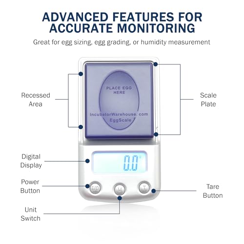Digital Scale with Blue Backlit LCD Display - Accurate Humidity Measurement