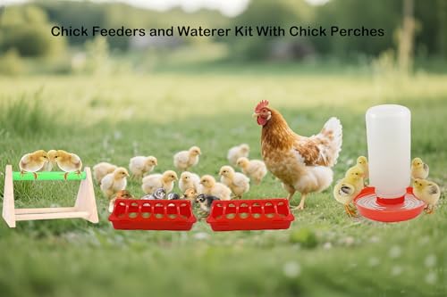7 Pack Chick Feeder and Waterer Kit No Waste with Chick Perch Flip Top Small Poultry Feeder Trough Quail Feeding Supplies Baby Chick Starter Kit for Chicken Coop Brooder Duck Quail Gravity