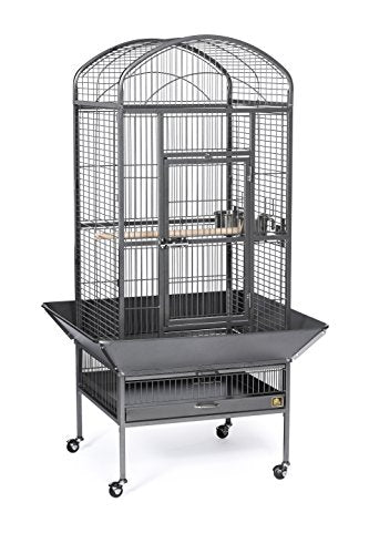 Prevue Pet Products Dometop Bird Cage - Large, Black Hammertone | for Parrots, Conures, Caiques, Small Cockatoos, Big Bird Cage with Wheels, Indoor or Outdoor