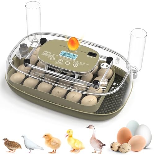 Egg Incubators Incubator for Hatching Eggs 24 Eggs Egg Incubator for Lab Home Farm with Automatic Egg Turning for Chicken, Ducks, Goose, Quail - size: 24 eggs