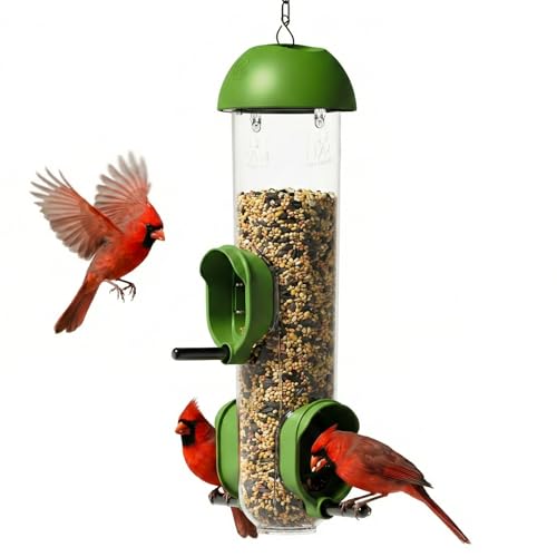 ‌LONA 1 Pack Tube Bird Feeders, Weatherproof Design with 3 Feeding Ports | Easy-fill Top Design, 2 Ways for Hanging, Suits Mixed Seeds, Squirrel-Proof Bird Feeder for Backyard/ Garden/ Patio, Green - size: 3 Ports