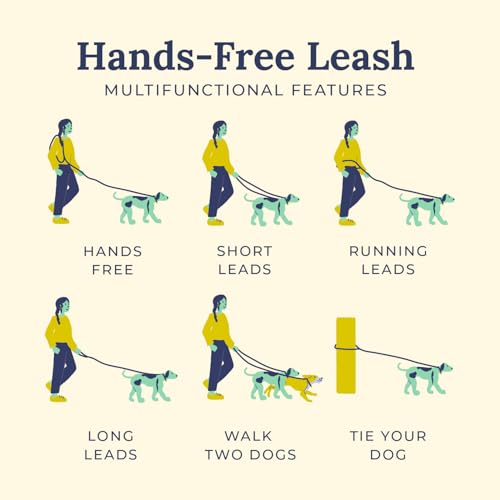 Spring Green Hands-Free Rope Leash - color: Spring Green Hands-Free Dog Leash
