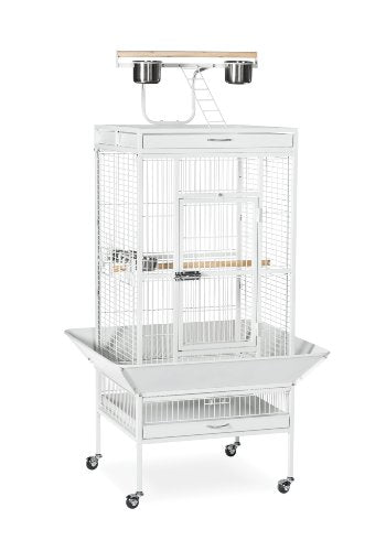 Prevue Hendryx 3152C Pet Products Wrought Iron Select Bird Cage, Chalk White, 24'' x 20'' x 60'' | Large Cage Ideal for Cockatiels, Conures, Quaker Parrots, Parakeets, Lovebirds, & Canaries, Rolling Stand with Wheels - color: Chalk White, size: 24.0"L x 2