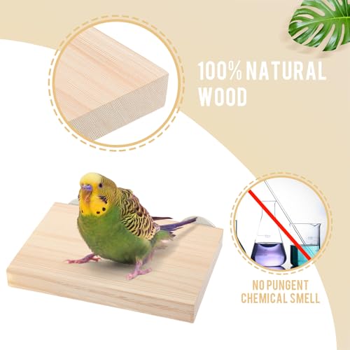 Reginary 12 Pcs Wood Bird Platform Rectangle Wood Perch Stand Board Habitat Cage Corner Shelf with Washers Bird Paw Grinding Clean Accessories for Pet Budgie Parrot Cockatiels