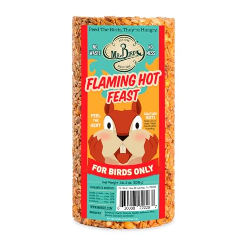 Mr. Bird Flaming Hot Feast Spicy Bird Seed Cylinder, 1-Pack, 1 lb 3 oz | Premium Blend of Mealworms, Peanuts & Hot Pepper | Squirrel Repellent | Handcrafted in Texas - size: 19 Ounce (Pack of 1)