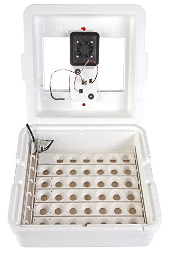 Little Giant Deluxe Incubator w/Egg Turner