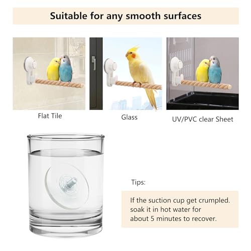 Suction Cup Bird Perch,Natural Wood Parrot Window/Bath/Car/Travel/Shower Perches Stand Portable Parakeet Grinding Stick Training Toys for Small and Medium Birds(Twist Grain) - color: 1 Pcs-Wood Stick