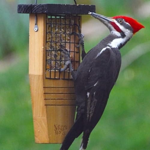 Nature's Way Bird Products CWF1 Tail-prop Suet Bird Feeder 12"H x 7.875"L x 3"W, Brown - style: Cedar Single Suet Feeder