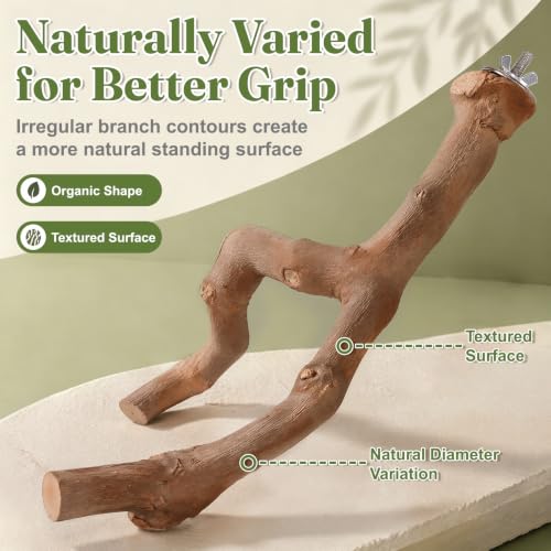 3PCS Natural Grapevine Bird Perch Set for Cage, Parakeet Cage Accessories