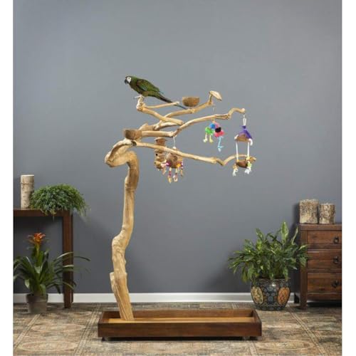 HomeStock Asian Fusion CoffeeWood Tree-Style Parrot Play Stand with Natural Design, Durable Perches, Feeding Bowls, and Spacious Activity Area for Birds Medium - size: Medium