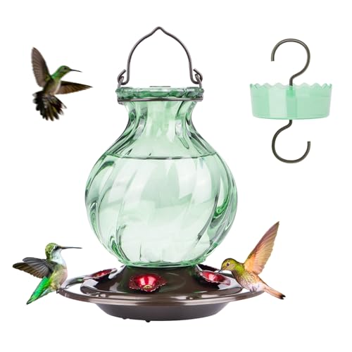 Auslar Glass Hummingbird Feeders for Outdoors Hanging, Green, 26 Oz | Hummingbird Feeder with Ant Proof Moat, 5 Bee Proof Feeding Ports, 360°Perch, Leak-proof, Outside Garden Backyard Decor - color: Green