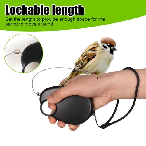 Bird Harness Leash,20ft Self Retractable Birds Harness for Parakeet Cockatiels Budgies Longicauda Flying Training