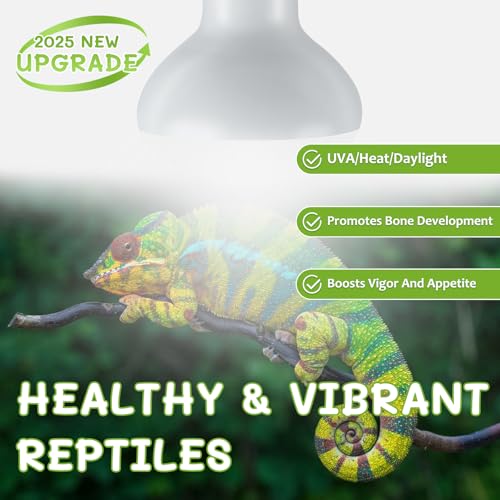 Reptile Heat Lamp Bulbs, Simulate Natural Sunlight Heat Light Bulb, 2 Pack 75W Amphibian Terrarium Basking Spot Lamp for Reptile, Bearded Dragon, Lizard, Turtle, Snake - color: Basking Bulb, size: Basking (2*75)