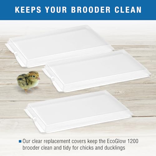 Brinsea Clear Plastic Covers for EcoGlow Safety 1200 Chick Brooder, 3 Pack | Authentic Brinsea plastic replacement cover for EcoGlow Safety 1200 chick brooders (model USHD612C) to make cleaning easier - style: EcoGlow Safety 1200