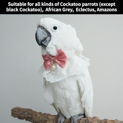 Bird Collar, Bird Clothes, Parrot Bird Supplies, Cute Collar for Medium and Large Birds Eclectus Cockatoo African Grey Amazon Bow Tie Scarf Super Cute Costume Photo Prop for Parrots (Pink Collar) - style: Pink Collar