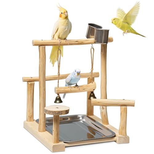 Natural Solid Wood Parrot Perch with Tray, Budgerigar Stand for Play, Rough Texture Bird Playground, High Hardness Nature Perch