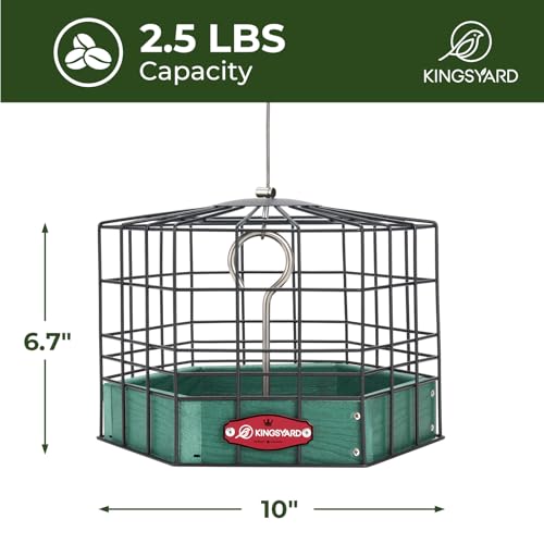 Kingsyard Squirrel Proof Platform Bird Feeder | Metal Mesh Tray, Recycled Poly Lumber Feeder, Great for Small Wildbirds Finches Bluebird Mealworm, Green - color: Green