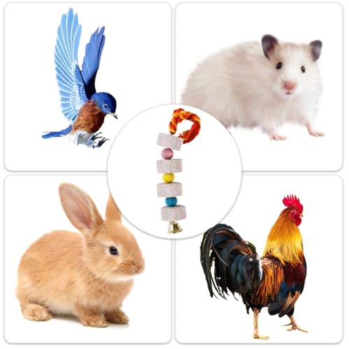 2 Pcs Large Chicken Chewing Toy with Bell Chicken Coop Accessories Chick Beak Grinding Calcium Stone for African Greys Amazon Conure Eclectus Budgies Parakeet Cockatiel Hamster