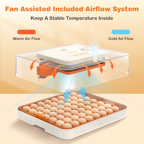 56 Egg Incubator, Incubator for Hatching Eggs with External Auto Water Refill, Auto Turner, LED Candler, Temperature Control, Incubator for Hatch Chick Duck Quail Poultry Home School Lab | with External Auto Water Refill, Auto Turner, LED Candler, Tempera