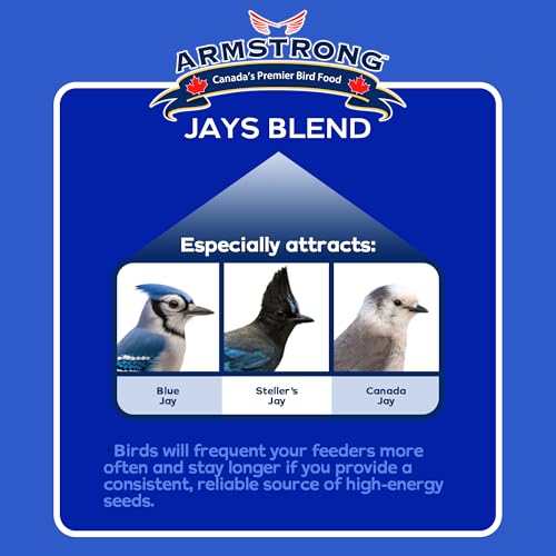 Armstrong Wild Bird Food Royal Jubilee Jays Blend, 16 Pounds - with Whole Corn, Striped Sunflower, Black Oil Sunflower and Peanuts for Blue Jays - Ideal for Outside Feeders - size: 16lbs, style: Pack of 1