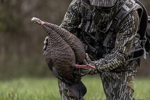 Avian-X LCD Feeder Hen Turkey Decoy with X-Factor Motion System – Realistic Lifelike Collapsible Standing Turkey, Durable Design, Carry Bag & Collapsible Stake for Hunting - style: HDR Hen