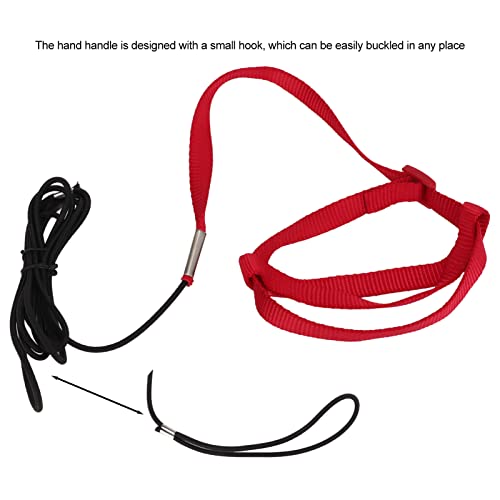 Elastic Parrot Harness Leash Bird Leash Bite Proof Harness Adjustable Parrot Flying Training Rope with Metal Hook Nylon Webbing for Cockatiels Walking (S) - size: S