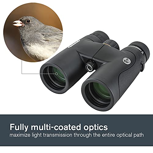 Celestron–Nature DX ED 8x42 Premium Binoculars Extra Low Dispersion Objective Lenses-Outdoor and Birding Binocular–Fully Multi Coated with BaK-4 Prisms Rubber Armored, Fogproof, Waterproof(Pack of 10) - size: 8x42 Nature DX ED (Pack of 10), style: Nature