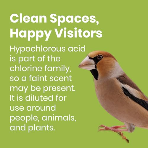 Bird Feeder & Birdhouse Cleaner, Natural Bird-Friendly, 32oz Spray, 2-Pack | Hypochlorous Acid (HOCl) Multi-Surface Cleaner, Remove Droppings and Dirt, Non-Toxic, Fragrance-Free, Safe for All Birds - size: 32 Fl Oz (Pack of 2)