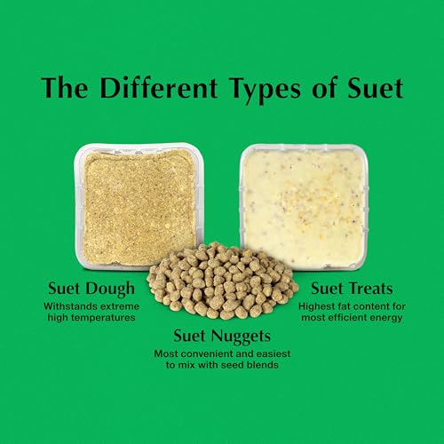 C&S Peanut Butter Delight No Melt Suet Dough 11.75 Ounces, 12 Pack - style: Peanut Butter 12-Pack