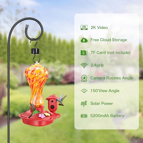 Camera Bird Feeder