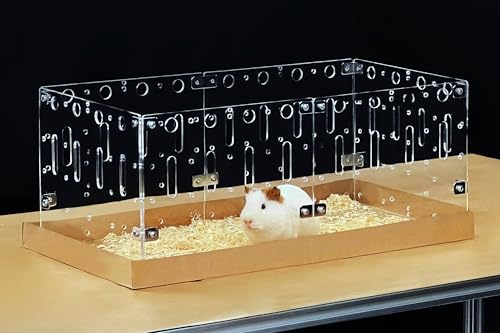 GuineaLoft™ Acrylic Cage (Model-C2) - Small 2x1ft Open Cage | Ideal for a Single Guinea Pig; Connectable & DIY Extendable w/ Disposable Bottom - Visit the GuineaLoft Store - color: Model-C2