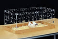 GuineaLoft™ Acrylic Cage (Model-C2) - Small 2x1ft Open Cage | Ideal for a Single Guinea Pig; Connectable & DIY Extendable w/ Disposable Bottom - Visit the GuineaLoft Store - color: Model-C2