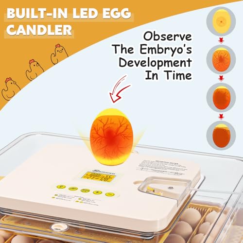 Incubator for Hatching 56 Eggs,Temperature Control & Auto Humidification | Stable Temperature & Humidity, Auto Egg Turning, Built-in Candler, View Window, Alert System for Lab School Farm
