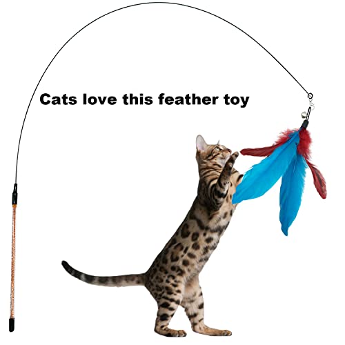 CATENESS Cat Feather Toys Refills, 10 Pieces Cat Wand Replacement Feathers Toy for Indoor Cats