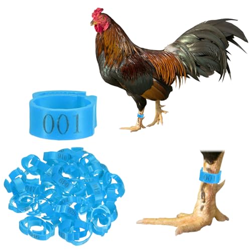 M METERXITY 50-Pack Adjustable Chickens Leg Bands, 17-22 mm Plastic Poultry Identification Chicken Leg Rings for Turkey/Duck/Goose/Chicks, Colorful Numbered Foot Clip on Tags [Blue] - color: Blue