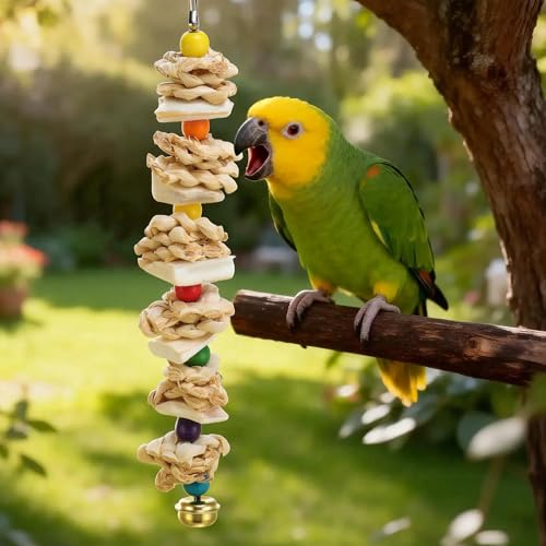 Bird Toys with Cuttlebone, Grinding Stone for Bird, 2 Pcs, B | Prevent Destructive Chewing, Colorful，White - style: Style B