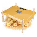 Smart Chicken Brooder Heater, 16"x11" Chick Heat Plate | 13 Temperature and 7 Timer Settings, 200W Coop Heating, UL Certified Safety for 20 Small Chicks Poultry
