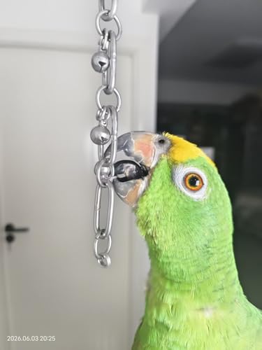 Fosrion Stainless Steel Parrot Chew Toy with Bell, 10.6" Durable Metal Bird Toy for Macaws, Cockatiels, Budgies - Cage Hanging Chew Chain (Coiled Chain with Single Bell) - color: Coiled Chain with Single Bell
