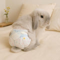 Leakproof Rabbit Diapers – Disposable Bunny Pet Diaper for Small Rabbits, Incontinence & Potty Training (1 Package/Trial Set, XS) (1 Package/Trial Set, S Size (Recommended for 5-8 lbs) - size: S size (Recommended for 5 - 8 lbs)