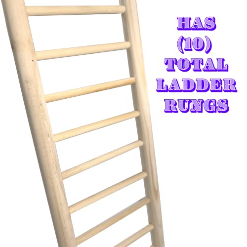 4000 12 Inch Natural Pine Hook Ladder - Straightforward Hanging Wood Ladder, Made from Natural Unfinished Pine Wood, Easy to Grab Round Parts, Great Exercise for pet Birds Budgie Finch Lovebird