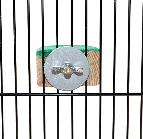 Spoiled Pet® Bird Cage Perch Stand 2-Pack - Beak and Foot Grinding Platform - Parakeets, Cockatiels, Canaries, Finches, Conures, Lories, and Budgies - Hamsters and Gerbils (Wood Perch) - size: Wood Perch