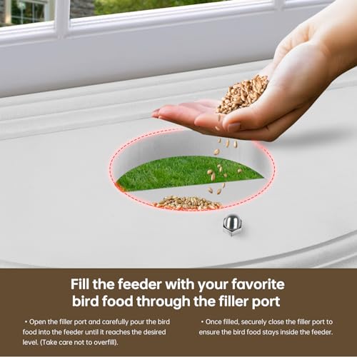 JOYSEUS Window Bird Feeder, 180° Clear View Bird Feeder, Durable and Elegant in-Window Bird Feeder for Watching Birds - Embrace The Delight of Bird Feeder.