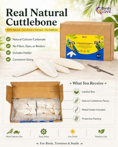 Birds LOVE 5.5-6″ Cuttlebones for Birds – 100% Natural Sun-Dried Calcium Carbonate Mineral Supplement – for Parakeets, Budgies, Cockatiels, Finches & Canaries – 4 lb with Holder – Made in Vietnam - size: 4 Pound (Pack of 1)