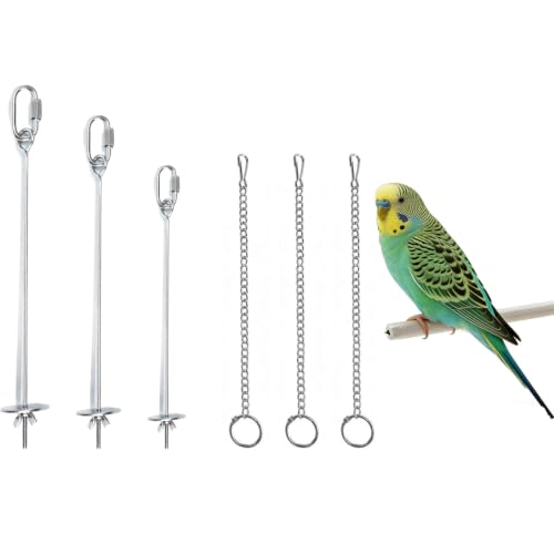 6PCS Stainless Steel Long Medium Short Fruit Forks Bird Cage | Parrot Vegetable Feeding Snack Rack Bird | Toys for Parakeets | 3 Hook 3 Chains