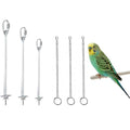 6PCS Stainless Steel Long Medium Short Fruit Forks Bird Cage | Parrot Vegetable Feeding Snack Rack Bird | Toys for Parakeets | 3 Hook 3 Chains