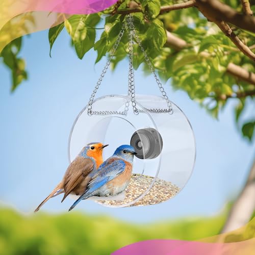Bird Feeder with Camera Smart Backyard House Camera with Live View Instant Arrival Alerts Auto Capture Video Outside Wild Watching cam Gift for Bird Lovers